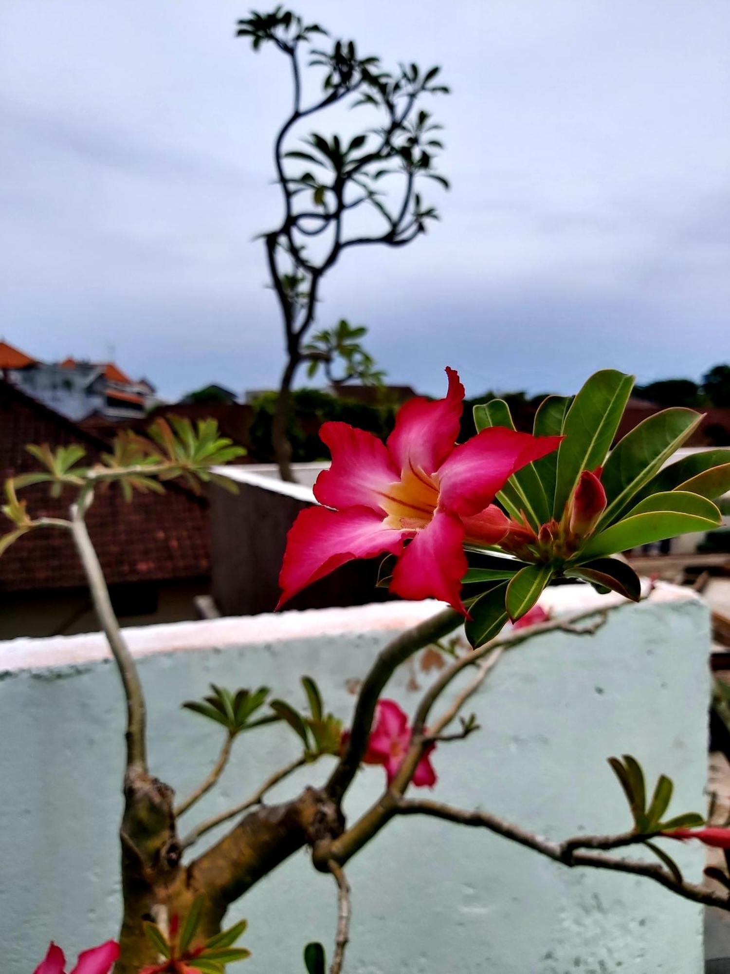 Hotel Genta House Kuta Lombok Exterior foto